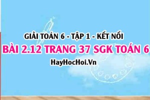 Giải bài 2.12 trang 37 Toán 6 Tập 1 SGK Kết nối tri thức